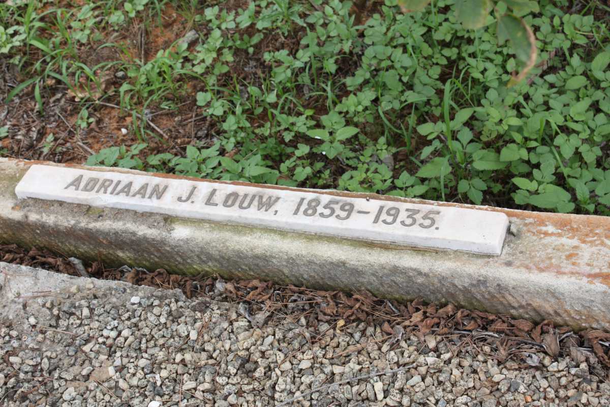LOUW Adriaan J. 1859-1935 :: LOUW Adriaan J. 1917-1917 :: LOUW Charlotte Louise 1896-1970 :: LOUW Maria J. nee ROWAN 1860-1920