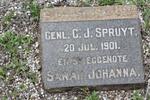 SPRUYT C.J. 1901 & Sarah Johanna