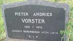 VORSTER Pieter Andries 1916-1972