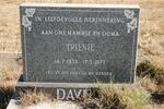 DAVEL Trienie 1933-1977