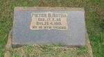 BOTHA Pieter B. 1856-1919