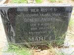 MAREE Ockert Antonie 1902-1939