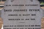 KEYSER David Johannes 1858-1919