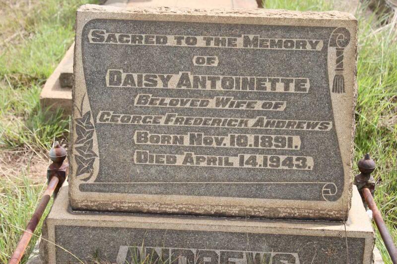 ANDREWS Daisy Antoinette 1891-1943