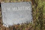 MAARTINS J.H. -1949