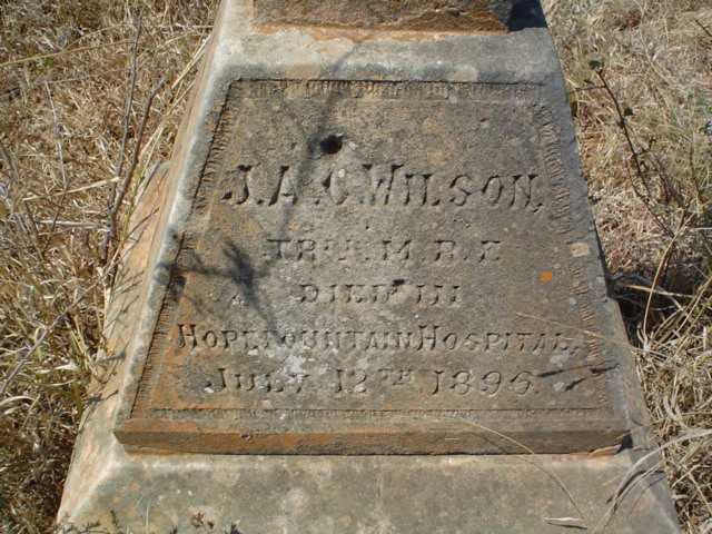 WILSON J.A.C. -1896