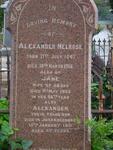 MELROSE Alexander 1847-1916 & Jane -1935 :: MELROSE Alexander -1931