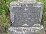 COPLEY Edith Rose -1956