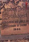 BRONKHORST Jacobus Petrus 1878-1900 