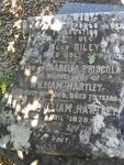 HARTLEY William 1828-1911 & Isabella Priscilla -1903 :: HARTLEY Mary -1887 :: HARTLEY Riley -1892