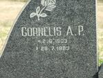 MOLL Cornelis A.P. 1903-1983