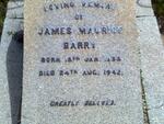 BARRY James Maurice 1853-1942