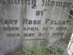 FELGATE Mary Rose 1898-1902