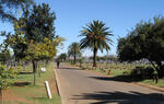 Gauteng, JOHANNESBURG, Soweto, Avalon cemetery