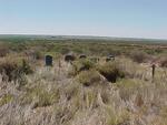 Northern Cape, HAY district, Niekerkshoop, Tweefontein 373, Magoras farm cemetery