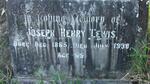 LEWIS Joseph Henry 1865-1930