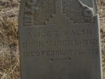 WALSH Alice E. 1882-1883