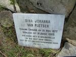 PLETSEN Dina Johanna, van nee CROUSE 1877-1963
