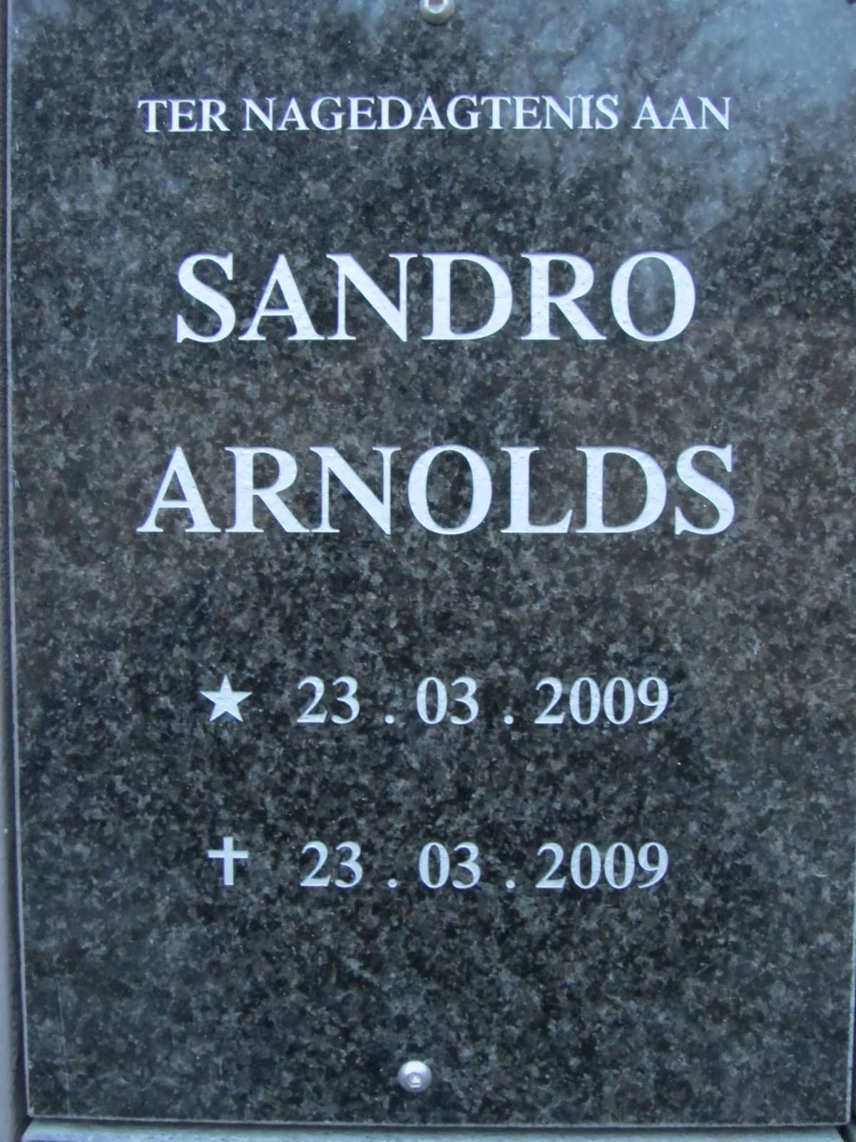 ARNOLDS Sandro 2009-2009