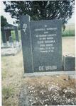 Mpumalanga, STANDERTON district, Beginsel 357 IS, Vogelvlei farm cemetery