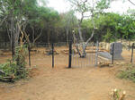 Limpopo, LETABA 1 district, Mooketsi, Rietrivier 373 LT, Gemsbokspruit, farm cemetery