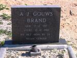BRAND A.J. Gouws 1917-1980