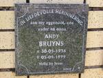 BRUYNS Andy 1936-1999