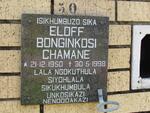 CHAMANE Eloff Bonginkosi 1950-1998