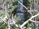 Eastern Cape, CRADOCK district, Paarde Kraal 35, Paardekraal farm cemetery