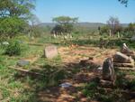 Zimbabwe, CHINHOYI, Main Cemetery