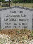 LABUSCHAGNE Jacobus L.M. 1918-1919