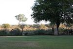 Mpumalanga, PILGRIM'S REST district, Kruger National Park, Satara Rest Camp, Plaques