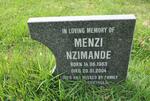 NZIMANDE Menzi 1963-2004