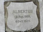 ? Albertus 1928-1929