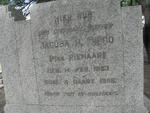 HIGGO Jacoba P. nee PIENAAR 1883-1956