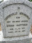 HATTINGH Dinah 1871-1957
