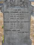 TOIT Anna Susanna, du nee DU PLESSIS  1860-1884 :: DU TOIT Maria Catharina nee VAN NIEROP 1864-1909