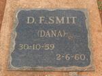 SMIT D.F. 1959-1960