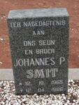 SMIT Johannes P. 1965-1966