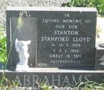 ABRAHAMS Stanton Standford Lloyd 1978-1999
