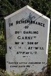 ATTWELL Garnet 1917-1917