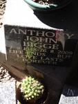 BIGGE Anthony John 1948-2009