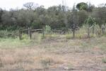 Western Cape, GEORGE district, Kykoe 55, farm cemetery
