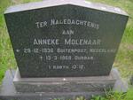 MOLENAAR Anneke 1936-1969