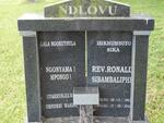 NDLOVU Ronald Sibambaliphi 1962-200?