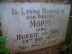 ? Moppy -1934