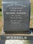 WESSELS Anthonie Hendrik 1882-1961