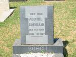 BOSCH Mechiel Coenraad 1882-1957