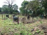Gauteng, KRUGERSDORP district, Kromdraai, Kromdraai 520_5,  farm cemetery