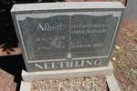 NEETHLING Albert 1933-1984